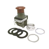 Allen-Bradley 800TFX6A5 Push Button 30.5mm 2-Position