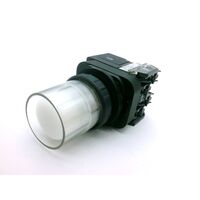 Allen-Bradley 800HCQRAH2W 30mm Momentary Push Button with LED