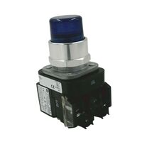 Allen-Bradley 800TCQBH2B Momentary Contact Push Button