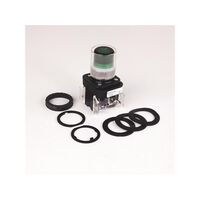 Allen-Bradley 800HCQRAH2GD1 30mm Momentary Push Button Green LED