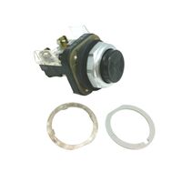 Allen-Bradley 800TB2D1 Momentary Contact Push Button