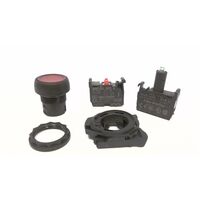 Allen-Bradley 800FPLF4PN3RX01 Illuminated Round Plastic Momentary Push Button