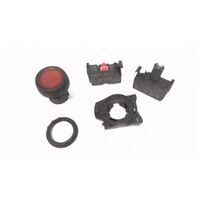 Allen-Bradley 800FPLF4PN3RX01 Illuminated Round Plastic Momentary Push Button