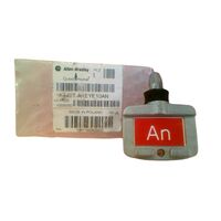 Allen-Bradley 440TAKEYE10AN Trapped Key Interlock Standard Key Red