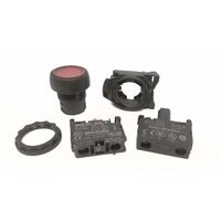 Allen-Bradley 800FPLF4PN3RX01 Illuminated Round Plastic Momentary Push Button