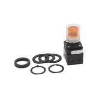 Allen-Bradley 800HQRAH2A 30mm Momentary Pushbutton with LED Amber