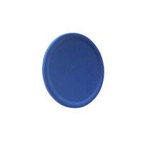 Allen-Bradley 800FAF6 Blue Momentary Flush/Guarded Cap for Pushbutton 22mm