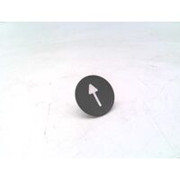 Allen-Bradley 800FAF208 Two-Color Molded Legend Push Button