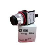 Allen-Bradley 800MRB2 Extended Round Black Pushbutton