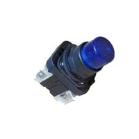 Allen-Bradley 800HQRB24B Illuminated Momentary Push Button