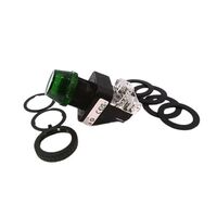 Allen-Bradley 800HCQR24G Green Pilot Light 30.5mm