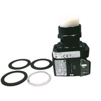 Allen-Bradley 800HCQRTH2W 30mm Full Voltage LED Pilot Light