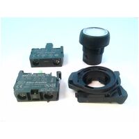 Allen-Bradley 800FPLF7PN3WX10 Illuminated Round Plastic Momentary Push Button