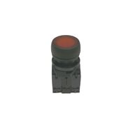 Allen-Bradley 800FPLF4PN5RX11 Illuminated Round Plastic Momentary Push Button