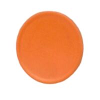 Allen-Bradley 800FAF0 Flush Cap for Push Button