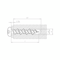 WG Fix Screw Pan Head | AW20 Drive | Zinc Plated | 6.3mm Diameter | @Pack of 250 | by Wurth
