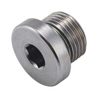 Oil Drain Plug with Seal | Durable Steel | Zinc Coating | Leak-Proof Design | by Wurth