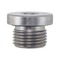 Oil Drain Plug with Seal | Durable Steel | Zinc Coating | Leak-Proof Design | by Wurth