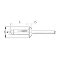Plastic Blind Rivet with Rounded Mandrel | Corrosion-Free & Non-Conductive | Easy Installation | @Pack of 10 | by Wurth