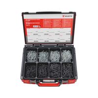 Nylon Anchor Assortment with ASSY D Screws | Zinc Plated Steel | Corrosion Resistant | 1000 Pieces | by Wurth