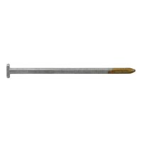 Half-Head Strip Nail 34° | Smooth Shaft & Hot Dip Galvanized | Collated Design | @PCS by Wurth