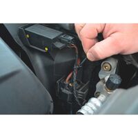 Automotive Cable Tie Package | 1400PCS | Multiple Sizes & Bonus Item | by Wurth