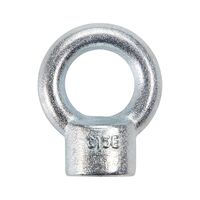 Ring Nut DIN 582 | Steel C15E | Zinc-Plated & Blue Passivated | 700 kg Load Capacity | @Pack of 5 | by Wurth