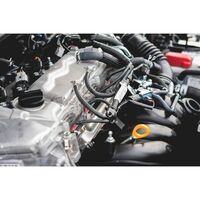 Braided Hose BRAIDCLBSLEV Black | 4-10mm Diameter | Self-Extinguishing | @20m by Wurth