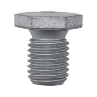 Oil Drain Plug | Durable Steel | Compatible with BMW | OEM 11137535106 | by Wurth