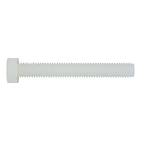 Hexagonal Bolt DIN 933 | M10 Polyamide 6.6 | Full Metric Thread | RoHS Compliant | @Pack of 200 | by Wurth