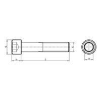 Hexagon Socket Head Cap Screw | 316 Stainless Steel | UNC Thread | Corrosion Resistant | @Pack of 10 | by Wurth