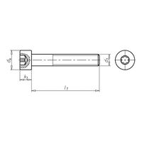 Hexalobular-type Cheese Head Screw ISO 14579 | Steel 8.8 | Zinc-Plated & Blue Passivated | @Pack of 100 | by Wurth