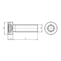 Hexalobular-type Cheese Head Screw | Low Head Design | Zinc Nickel Coated | Corrosion Resistant | @Pack of 25 | by Wurth