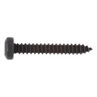Pan Head Tapping Screw Shape C | AW Drive System | Corrosion Resistant | Black Coated | @Pack of 100 | by Wurth