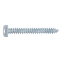 Pan Head Tapping Screw Shape C | AW Drive | Zinc Plated | @Pack of 100 | by Wurth