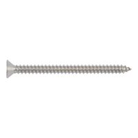 Countersunk Tapping Screw Shape C | A4 Stainless Steel | H Recessed Head | RoHS Compliant | @Pack of 50 | by Wurth