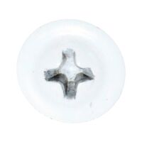 Button Head Needle Point Stitching Screw | Self-Piercing | Zinc Plated | White Finish | @Pack of 100 | by Wurth
