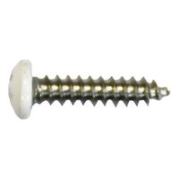 Self-Tapping Screw | Pan Head | A2 Stainless Steel | Lacquered Finish | @Pack of 100 | by Wurth