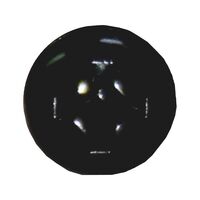 Self-Tapping Screw | Pan Head | Stainless Steel A2 | Black Lacquered Finish | @Pack of 100 | by Wurth