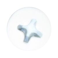 Self-Tapping Screw | Pan Head | A2 Stainless Steel | Lacquered Finish | @Pack of 100 | by Wurth