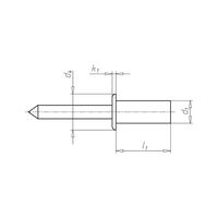 Blind Bucket Rivet Flat Head DIN EN ISO 16585 | Stainless Steel | Dome Head Design | @Pack of 25 | by Wurth
