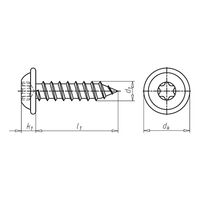 Pan Head Tapping Screw Shape C with Flange | Steel Material | Black Coated | Full Thread Design | @Pack of 100 | by Wurth