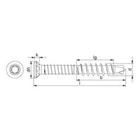 Terrace Construction Screw A2 Stainless Steel | Partial Thread & Raised Countersunk Head | RW20 Drive | @Pack of 250 | by Wurth