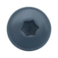 Pan Head Tapping Screw Shape C with Flange | Steel Material | Black Coated | Full Thread Design | @Pack of 100 | by Wurth