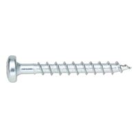 ASSY® D Plug Screw Pan Head | Hardened Steel | Zinc Plated | Self-Tapping | @Pack of 100 | by Wurth