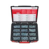 Flat Head Screw Assortment | Hexalobular Drive | Zinc Plated Steel | 1500 Pieces | by Wurth