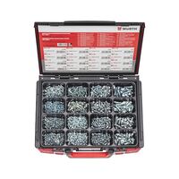 Screw Flattened Half Round Head Assortment | Zinc Plated | Hexagon Socket | 1000 Pieces | by Wurth