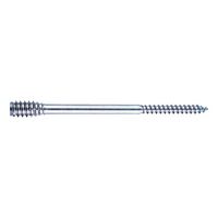 D-anchor Timber Screw | Galvanised Steel | Tension-Free Installation | 200 PCS | by Wurth