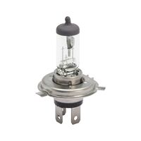 Truckstar Pro +120 % halogen bulb for safety-conscious drivers