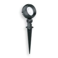 6W LED Garden Spike light - Black _ Warm White